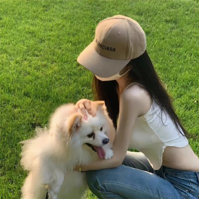 治愈队西游记