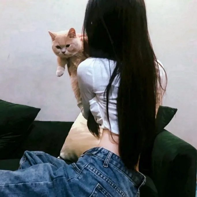 你们是谁